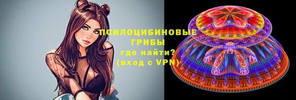 сатива Арсеньев