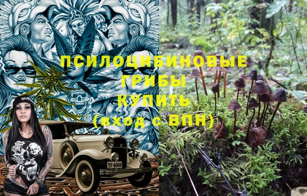 сатива Арсеньев