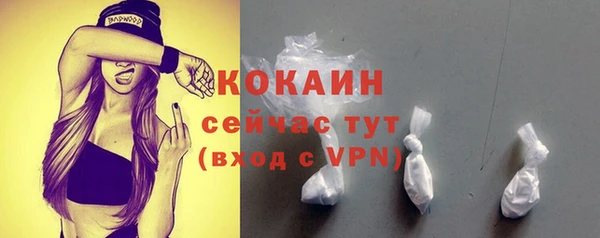 сатива Арсеньев