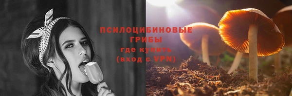 сатива Арсеньев