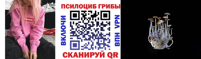 купить закладку  Глазов  Псилоцибиновые грибы мицелий 