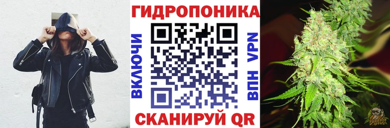 Шишки марихуана марихуана Глазов