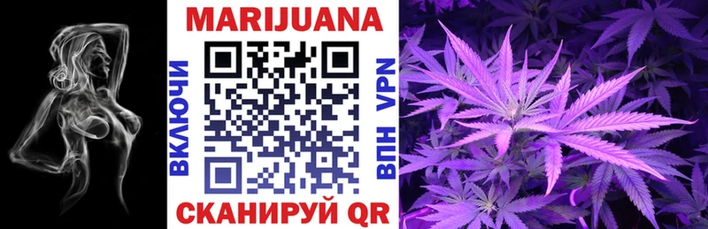 Конопля SATIVA & INDICA  KRAKEN   Глазов 